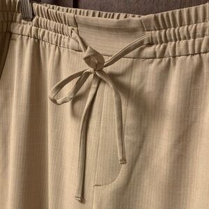 Banana Republic size 10 Drawstring Ankle Pants